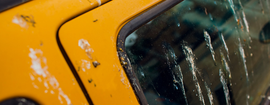 Na fotografiji je avtomobil, ki je umazan s ptičjimi iztrebki.